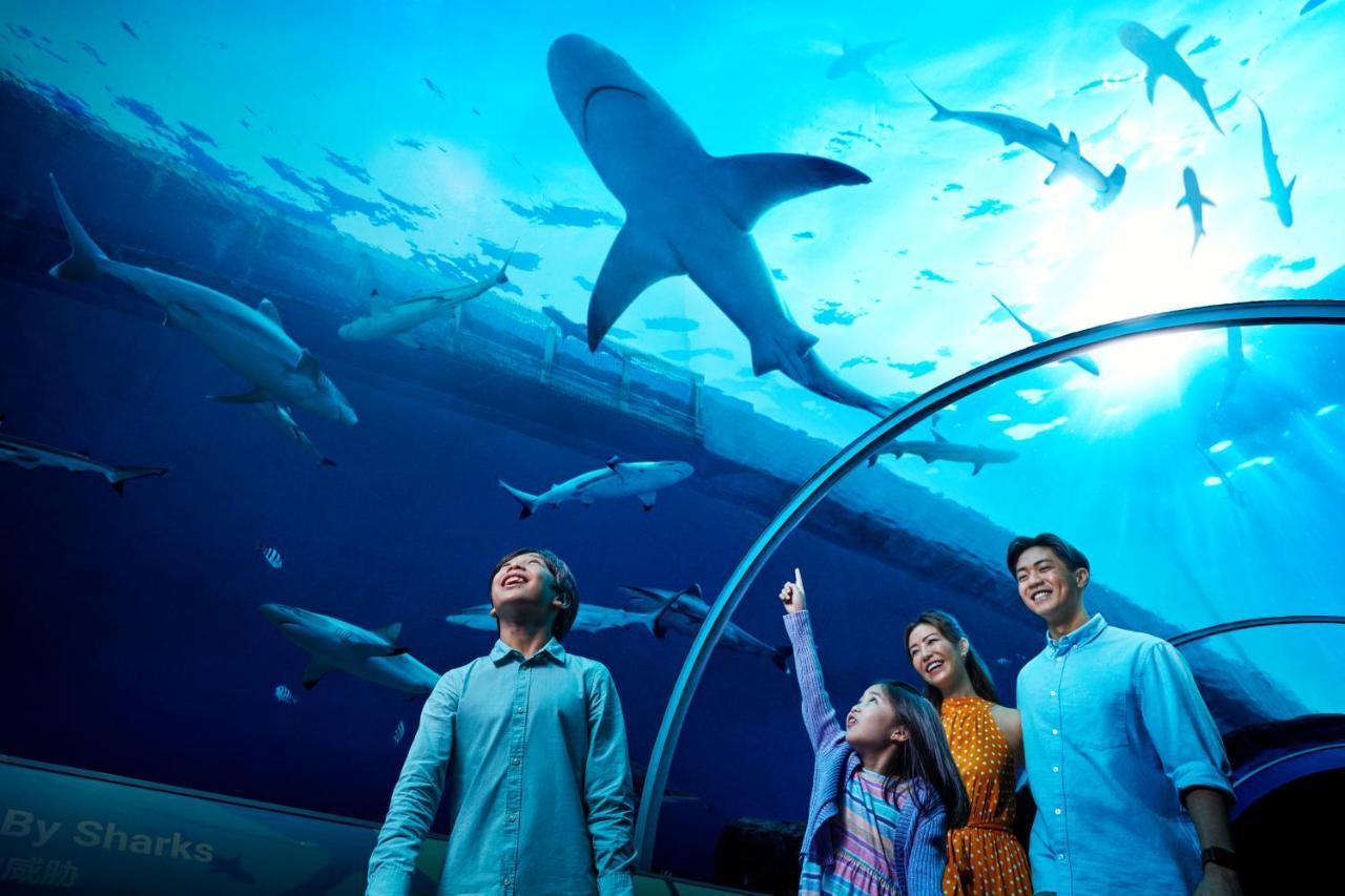 Resorts World Sentosa - Hotel Сингапур Екстериор снимка The Lost Chambers Aquarium