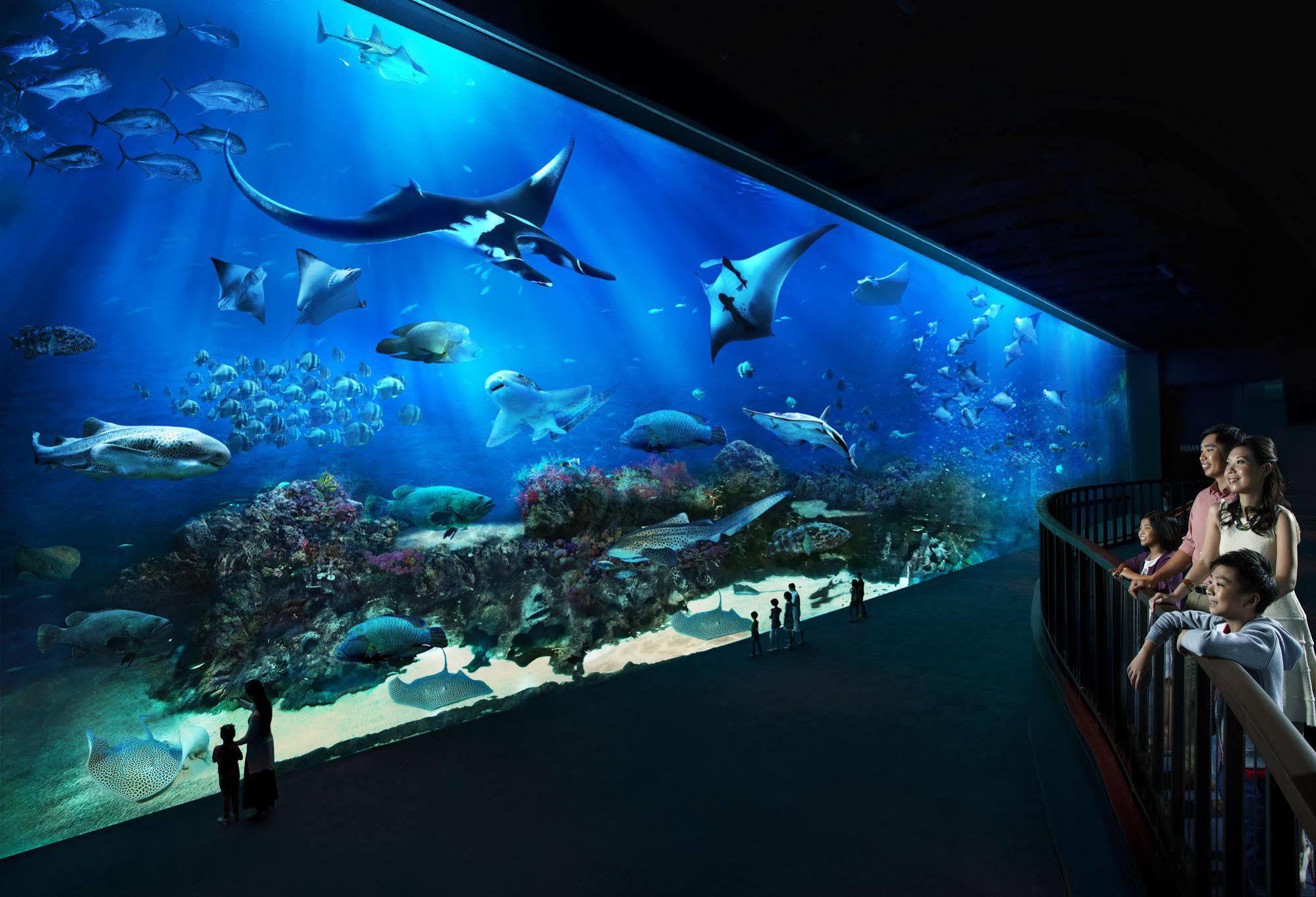 Resorts World Sentosa - Hotel Сингапур Екстериор снимка The open ocean exhibit